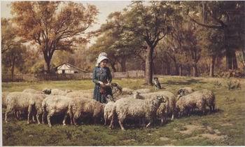 unknow artist Sheep 179 china oil painting image